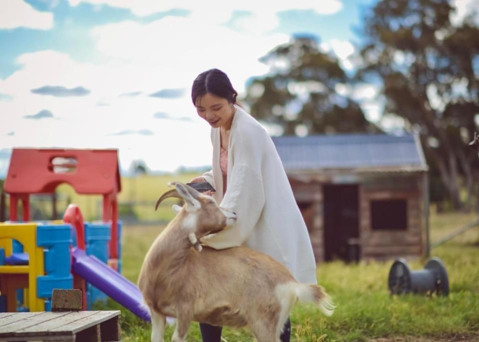 فندق ياسفي  Glenview Alpaca Farm المظهر الخارجي الصورة