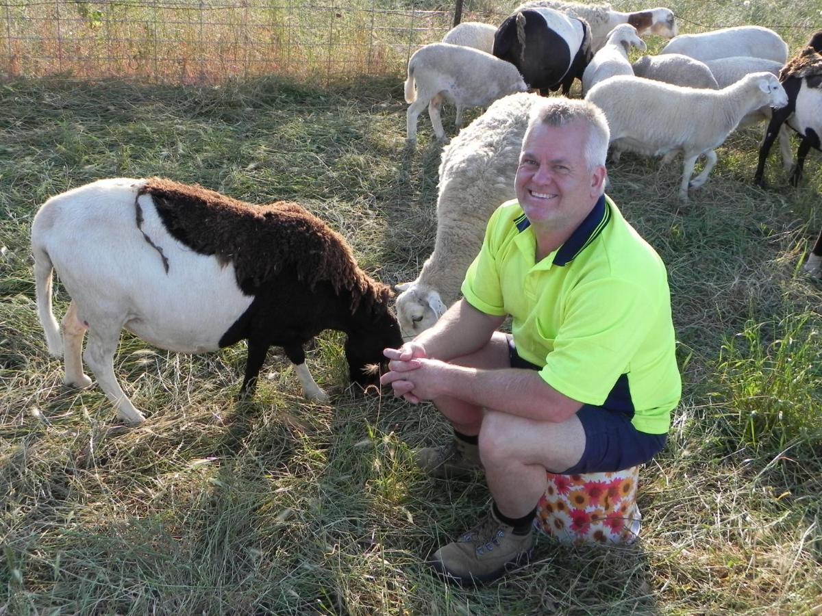 فندق ياسفي  Glenview Alpaca Farm المظهر الخارجي الصورة