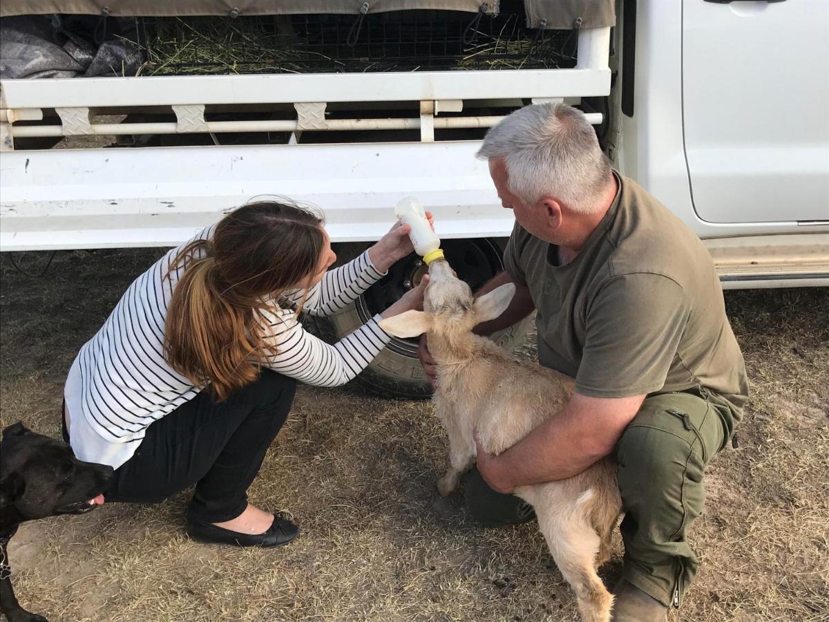 فندق ياسفي  Glenview Alpaca Farm المظهر الخارجي الصورة