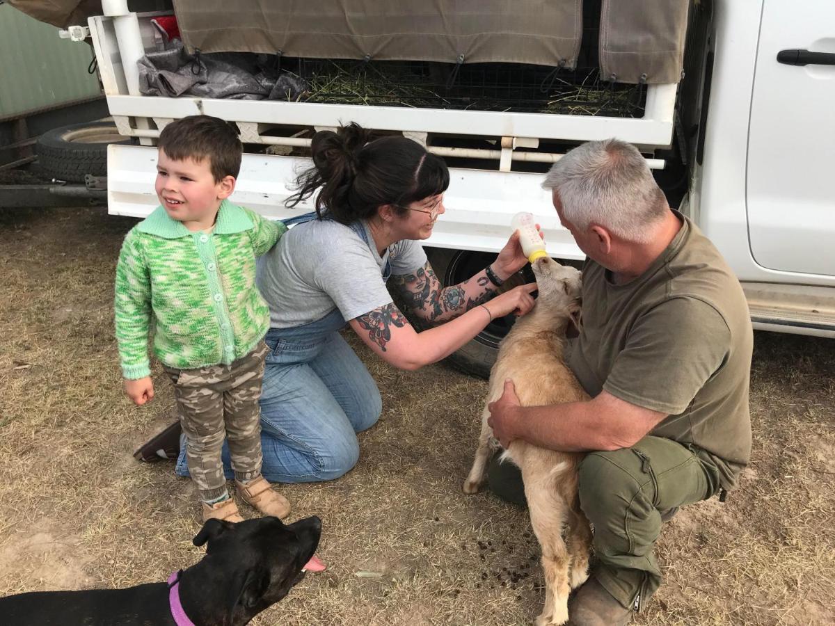 فندق ياسفي  Glenview Alpaca Farm المظهر الخارجي الصورة